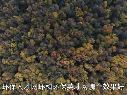 環(huán)保人才網(wǎng)環(huán)和環(huán)保英才網(wǎng)哪個效果好