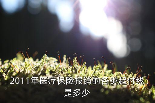 醫(yī)保報銷起付線，醫(yī)療報銷起付線的問題