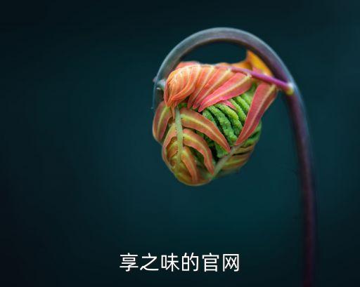 k頻道官網(wǎng)，官網(wǎng)網(wǎng)址是多少