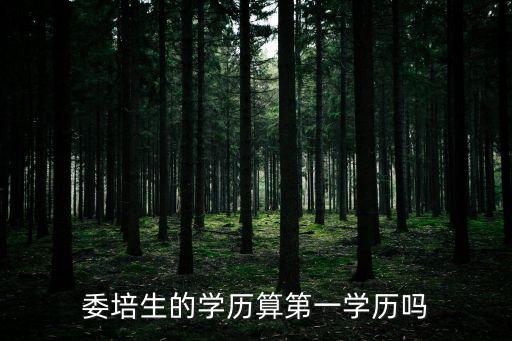 張恒學(xué)歷，武術(shù)冠軍張恒年齡多大