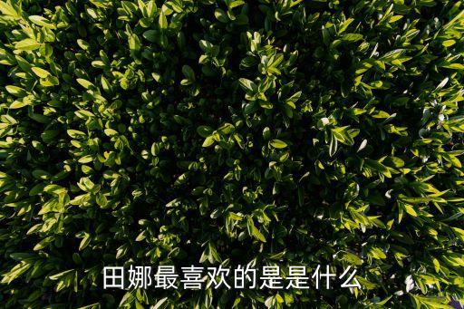 田娜，貴州電視臺(tái)人生節(jié)目比較漂亮的那女主持叫什么請(qǐng)給圖和個(gè)人資料
