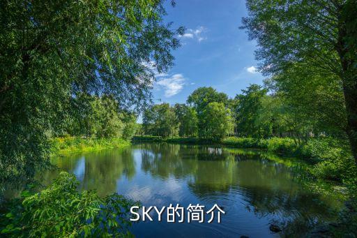 SKY的簡介
