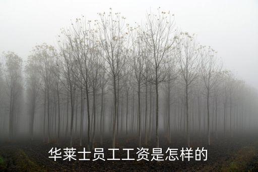 華萊士員工工資是怎樣的