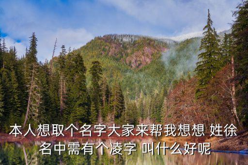 本人想取個名字大家來幫我想想 姓徐 名中需有個凌字 叫什么好呢