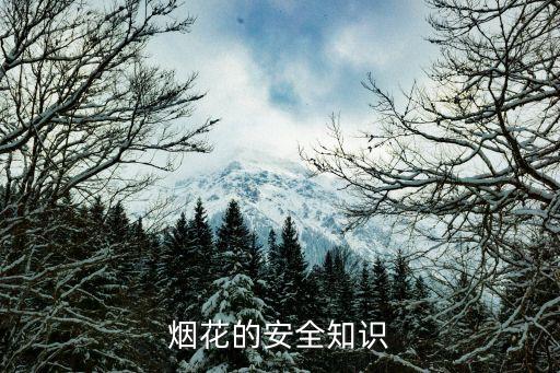 煙花爆竹安全知識，關(guān)于煙花爆竹安全常識歌