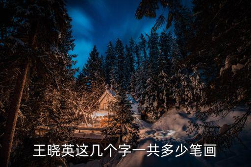 王曉英這幾個(gè)字一共多少筆畫