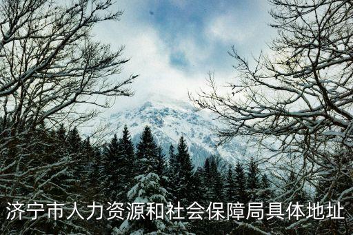 濟寧人力資源和社會保障局，濟寧市人力資源和社會保障局在哪