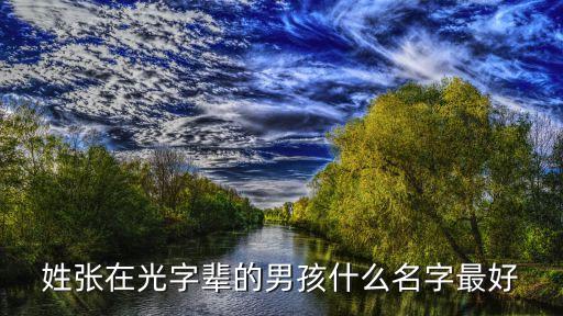 張光華，廣發(fā)行的老總簡介