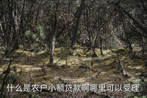 農(nóng)戶貸，什么是農(nóng)戶小額貸款啊哪里可以受理