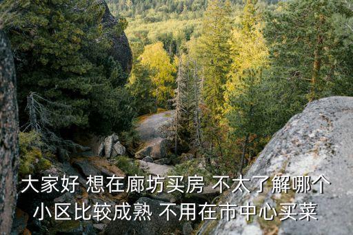 大家好 想在廊坊買(mǎi)房 不太了解哪個(gè)小區(qū)比較成熟 不用在市中心買(mǎi)菜