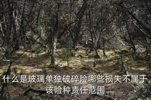 玻璃單獨(dú)破碎險，什么是玻璃單獨(dú)破碎險哪些損失不屬于該險種責(zé)任范圍