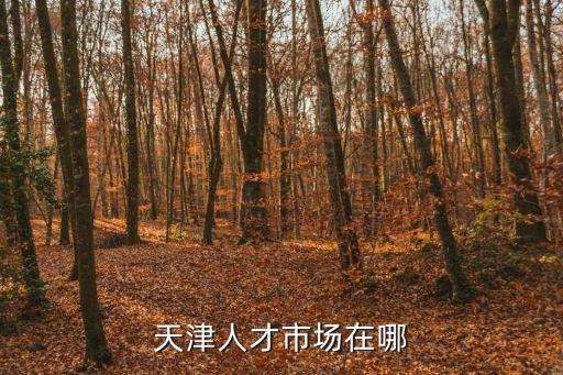 天津人才市場在哪