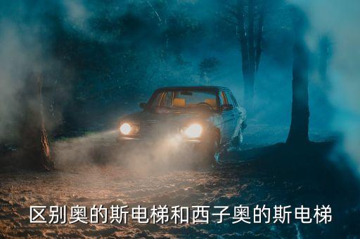 美國電梯，美國迪士尼升空電梯有多高