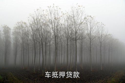 車抵押貸款
