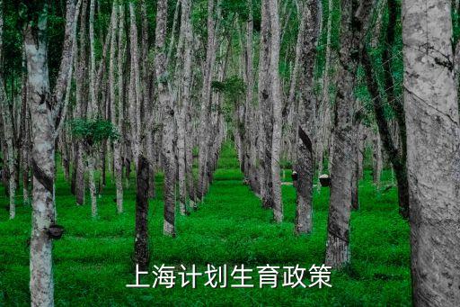 上海二胎政策，請(qǐng)問老公是外地農(nóng)村戶口政策上允許生第二胎但老婆上海戶口