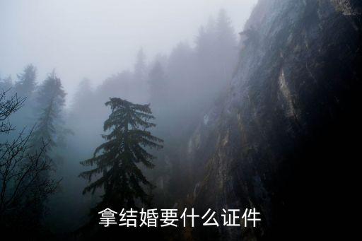 結(jié)婚需要準備什么證件，結(jié)婚需要辦理那些證件