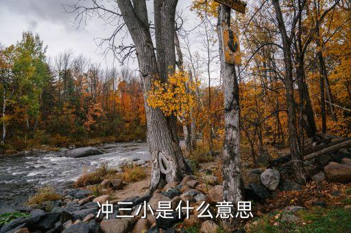 沖三小，沖三小是什么意思
