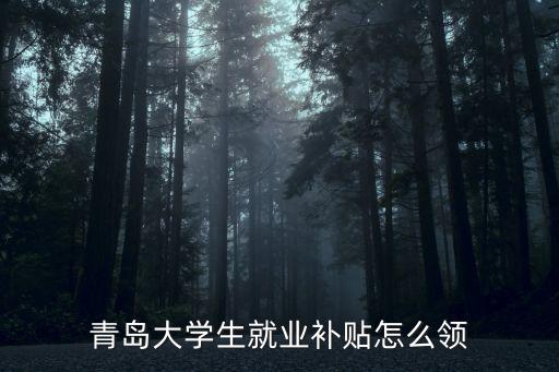 青島大學(xué)生就業(yè)補(bǔ)貼怎么領(lǐng)