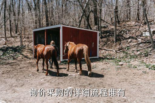 詢價采購，什么叫詢價采購