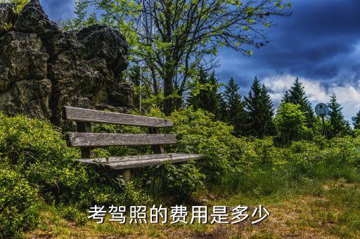 考駕照的費(fèi)用是多少