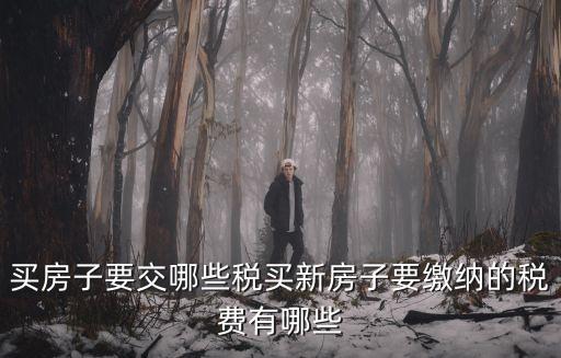 買房子要交哪些稅買新房子要繳納的稅費(fèi)有哪些