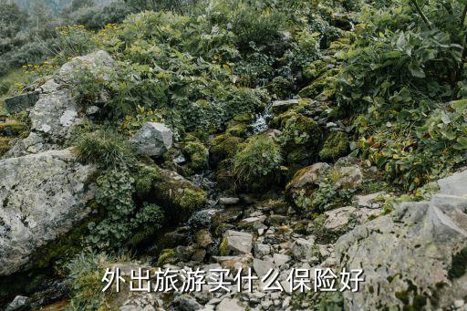 外出旅游買什么保險(xiǎn)好