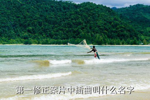 第一修正案，第一修正案片中插曲叫什么名字