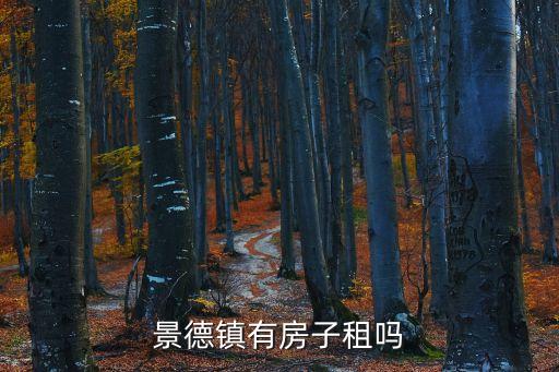 景德鎮(zhèn)有房子租嗎