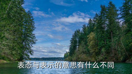 表示意思，表態(tài)與表示的意思有什么不同