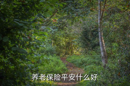 平安養(yǎng)老保險，平安養(yǎng)老保險怎么樣