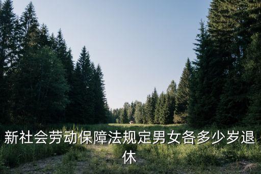 最新退休政策，3050退休政策