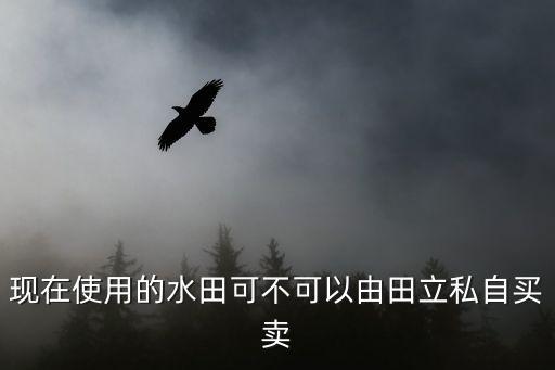 現(xiàn)在使用的水田可不可以由田立私自買賣