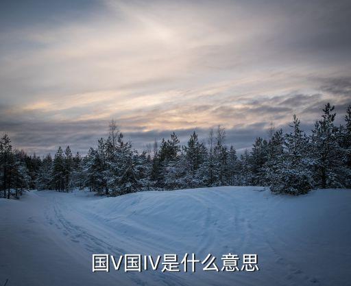 國V國IV是什么意思