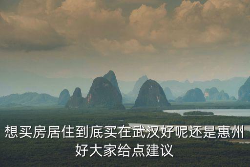 想買房居住到底買在武漢好呢還是惠州好大家給點建議