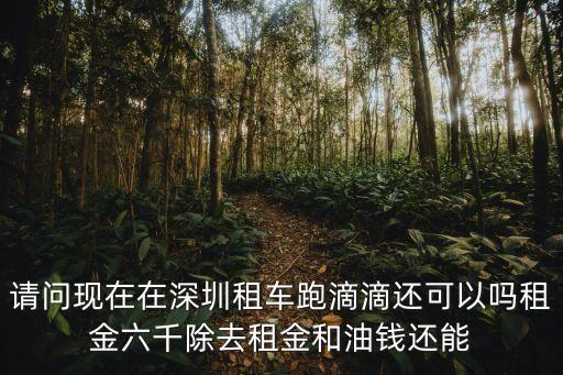 每月3500租車(chē)跑滴滴，請(qǐng)問(wèn)現(xiàn)在在深圳租車(chē)跑滴滴還可以嗎租金六千除去租金和油錢(qián)還能