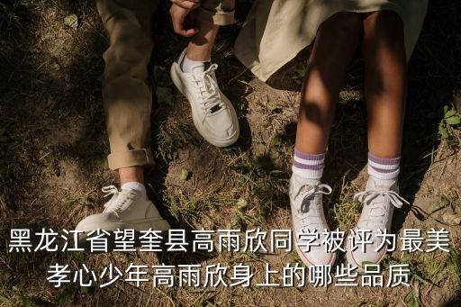 黑龍江省望奎縣高雨欣同學(xué)被評(píng)為最美孝心少年高雨欣身上的哪些品質(zhì)