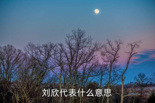 劉欣，劉欣代表什么意思
