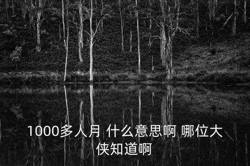 1000多人月 什么意思啊 哪位大俠知道啊