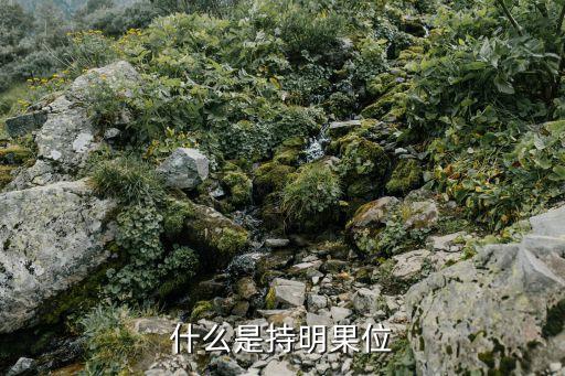 成地明，第一個字是地最后一個字是明的成語