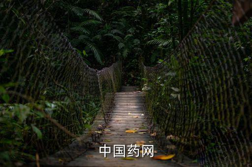 中國藥網(wǎng)，中國藥網(wǎng)