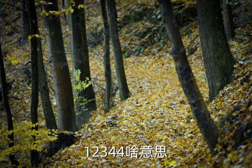 12344，12344數(shù)字表達(dá)的意思