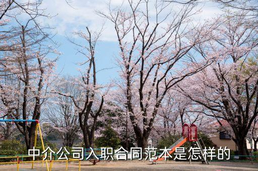 中介公司入職合同范本是怎樣的