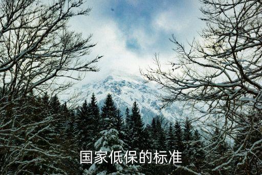 低保標(biāo)準(zhǔn)，國(guó)家低保的標(biāo)準(zhǔn)