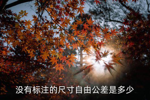 自由公差國(guó)家標(biāo)準(zhǔn)，沒有標(biāo)注的尺寸自由公差是多少