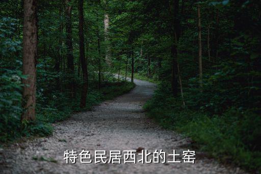 箍窯洞，中國北方窯洞民居的主要類型