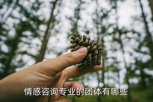 感情咨詢機(jī)構(gòu)，情感咨詢的公司哪家比較好
