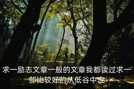 一什么文章，求一勵(lì)志文章一般的文章我都讀過(guò)求一部比較好的從低谷中走