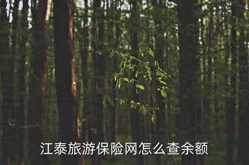 江泰旅游保險網(wǎng)怎么查余額