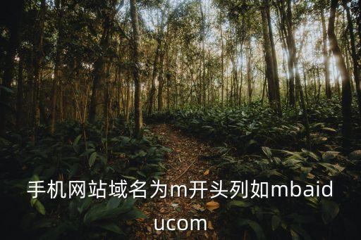 m網(wǎng)頁鏈接，AC1200雙頻無線路由器TLWDR6300是千兆端口路由器嗎