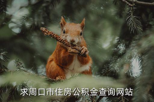 周口公積金，求周口市住房公積金查詢網(wǎng)站
